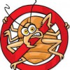 Bradenton Termite & Pest Control