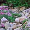 Gardens For Living