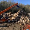 Woodpecker Tree Services