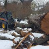 WAZ Tree Service