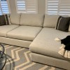 The Rug Bug