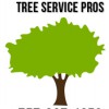 Virginia Beach Tree Service Pros