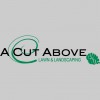 Kauffman Tree & Lawn Care