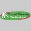 TX The Woodlands Carpet Cleaning