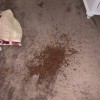 Miller's Carpet Care