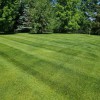 Veteran Lawn Service