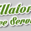 Villatoro Tree Service