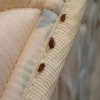 Kings Pest Control Cincinnati