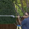 Denson Tree Service