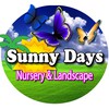 SunnyDays Nursery & Landscaping