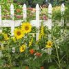 Sun Valley Garden Center