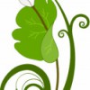 Garden Dance Landscape Design