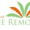 Las Vegas Tree Removal Pros