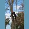 Pine Mountain Garden & Tree Services