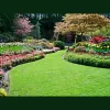 Curtis Landscaping & Tree Service