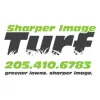 Sharper Image Turf