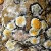 Stern Mold