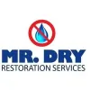 Mr. Dry Services