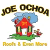 Joe Ochoa Roofing