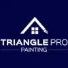Triangle Pro Painting