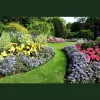 CGreen Landscape