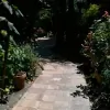 Polo's Landscaping