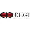 CEGI Technology