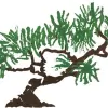 Dannaher Landscaping
