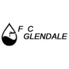 F2C Plumbing Glendale