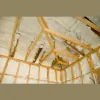 Alexandria Gene Insulation