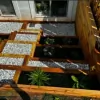 Arvin Produce & Garden Center
