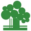 Global Wood