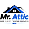 Mr Attic