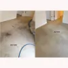 Islands Carpet Cleaner