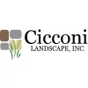Cicconi Landscape
