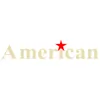 American Roofing & Remodeling