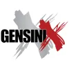Gensini Excavating