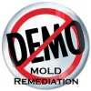 No Demo Mold