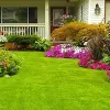 Service Specialists Lawn & Landscaping