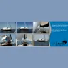 Shadetree Boat Awning Systems