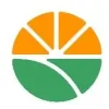 Orange Grove Painting