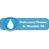 Professional Plumber in Humble TX
