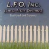 Lotsa Fence Options