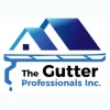 The Gutter Professionals