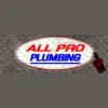 All Pro Plumbing