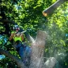 Maximum Tree Service & Landscaping