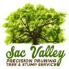 Sac Valley Precision Pruning