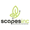 Scapes