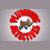 The Plumbing Detectives