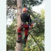 Aurora Tree Service